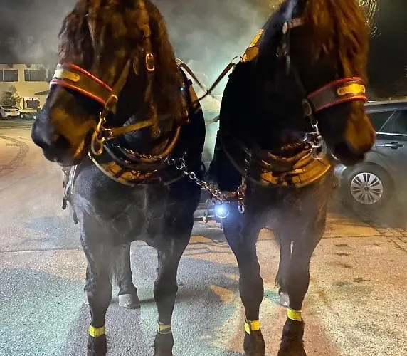 Gastuna * バート・ホーフガシュタイン